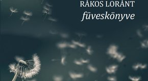 Kép: „Földig érő égfoszlányok”